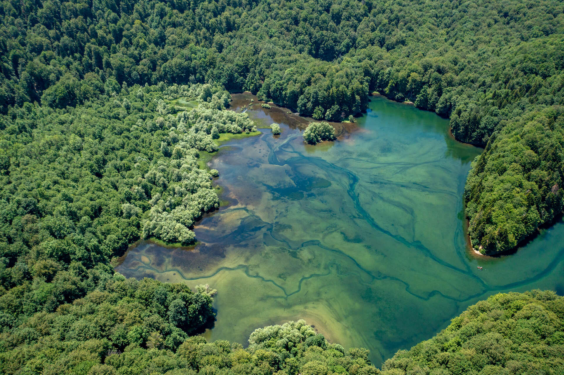 National park Biogradska gora